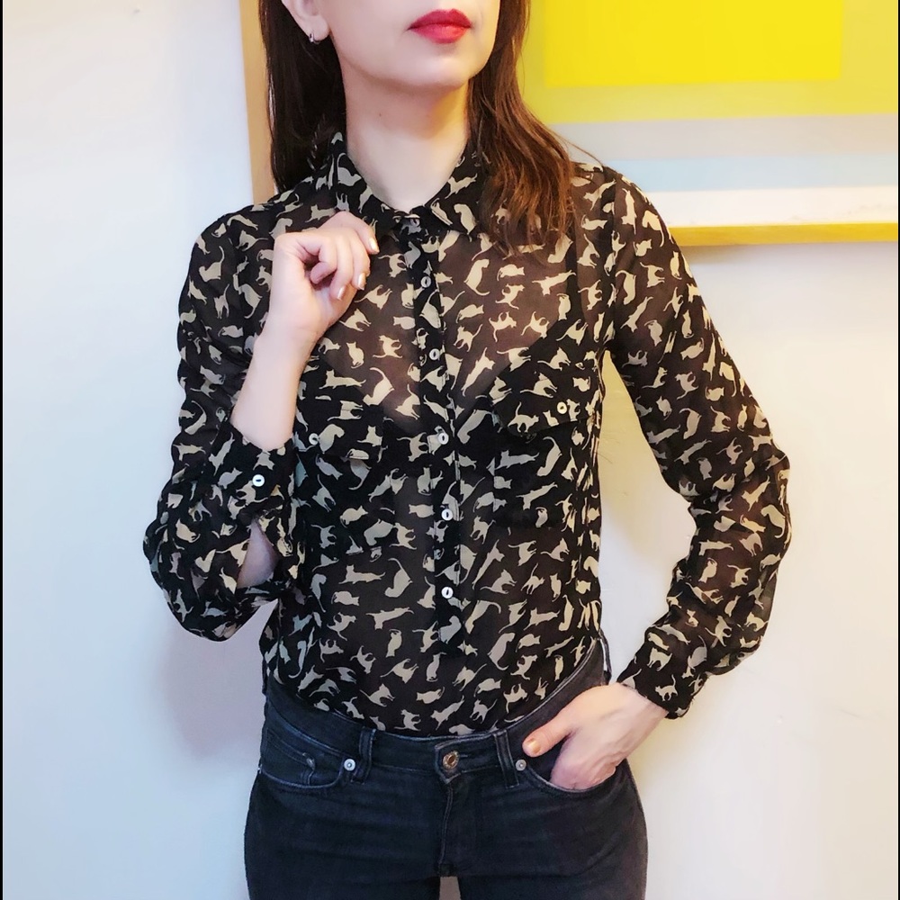 ZARA cat sheer blouse